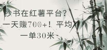 抄书在小红薯平台？平均一单30米，一天收益几张！汇创网-网创项目_汇创网_中创网_福缘网_冒泡网_资源整合平台汇创网
