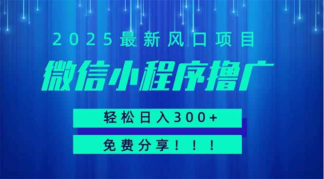 （14375期）微信小程序撸广，最新风口项目，日入300+ 免费分享 可批量操作 小白可…汇创网-网创项目_汇创网_中创网_福缘网_冒泡网_资源整合平台汇创网