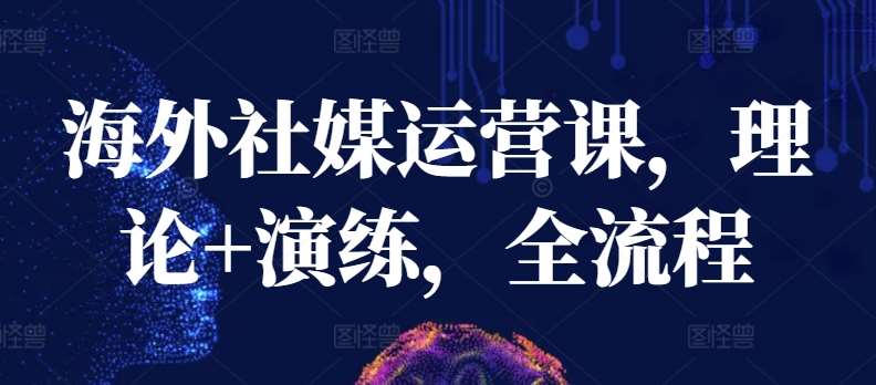 海外社媒运营课，理论+演练，全流程汇创网-网创项目_汇创网_中创网_福缘网_冒泡网_资源整合平台汇创网