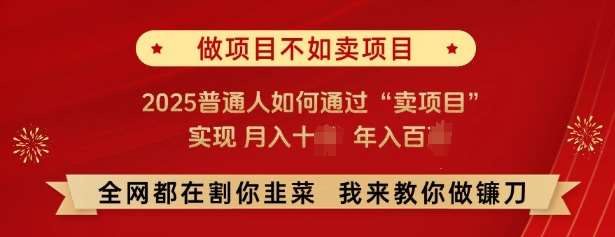 必看，做项目不如卖项目，2025普通人如何通过“卖项目”实现月入十个，年入百个汇创网-网创项目_汇创网_中创网_福缘网_冒泡网_资源整合平台汇创网
