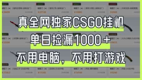 真全网独家CSGO挂G，单日捡漏1k+【揭秘】汇创网-网创项目_汇创网_中创网_福缘网_冒泡网_网创项目平台汇创网