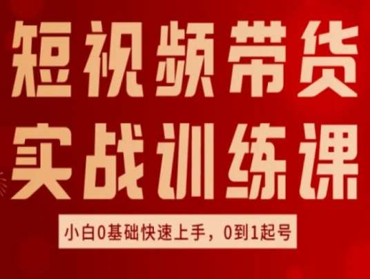 短视频带货实战训练课，好物分享实操，小白0基础快速上手，0到1起号汇创网-网创项目_汇创网_中创网_福缘网_冒泡网_资源整合平台汇创网