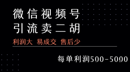 视频号卖二胡教程，利润大 易成交 售后少，一单利润5张+汇创网-网创项目_汇创网_中创网_福缘网_冒泡网_资源整合平台汇创网