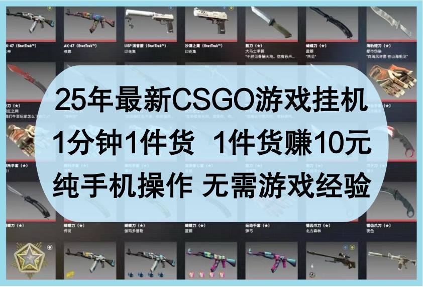 25年最新CSGO游戏挂机，1分钟1件货，1件货赚10元，纯手机操作，无需游戏经验汇创网-网创项目_汇创网_中创网_福缘网_冒泡网_网创项目平台汇创网