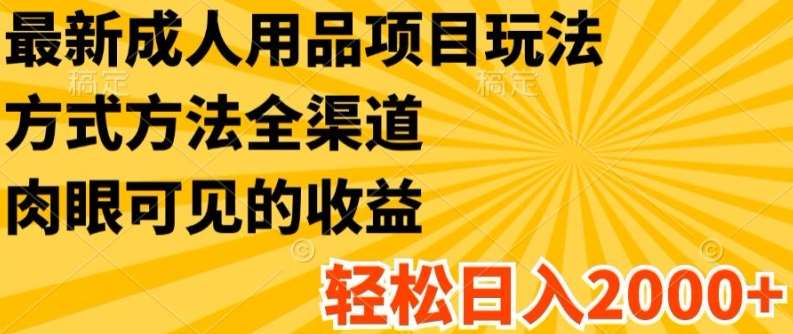 最新成人用品项目玩法，方式方法全渠道，轻松日入2K+【揭秘】汇创网-网创项目_汇创网_中创网_福缘网_冒泡网_资源整合平台汇创网