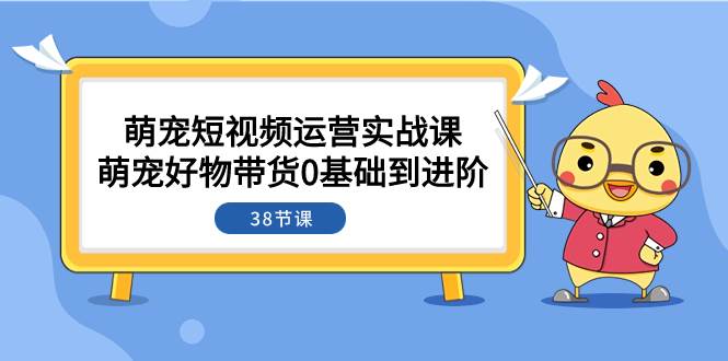 萌宠·短视频运营实战课：萌宠好物带货0基础到进阶（38节课）汇创网-网创项目_汇创网_中创网_福缘网_冒泡网_资源整合平台汇创网