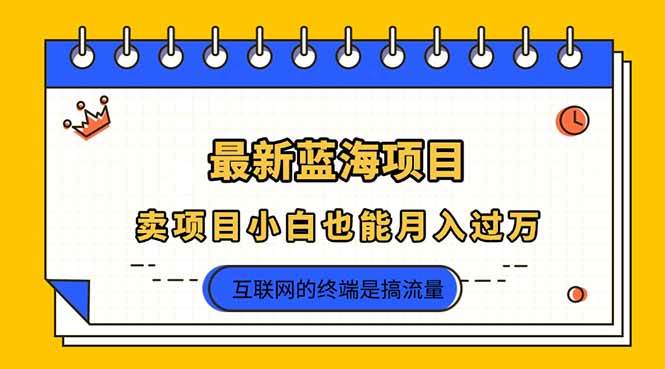 （14289期）2025年最新蓝海项目，卖项目小白也能月入过万汇创网-网创项目_汇创网_中创网_福缘网_冒泡网_资源整合平台汇创网