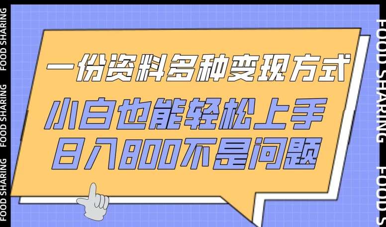 一份资料多种变现方式，小白也能轻松上手，日入800不是问题【揭秘】汇创网-网创项目_汇创网_中创网_福缘网_冒泡网_网创项目平台汇创网