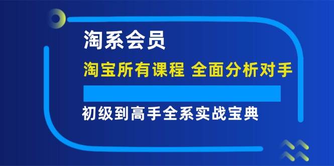 （12055期）淘系会员【淘宝所有课程，全面分析对手】，初级到高手全系实战宝典汇创网-网创项目_汇创网_中创网_福缘网_冒泡网_资源整合平台汇创网