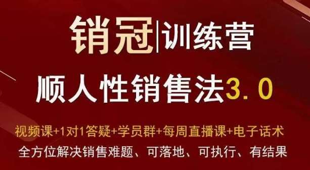 爆款！销冠训练营3.0之顺人性销售法，全方位解决销售难题、可落地、可执行、有结果汇创网-网创项目_汇创网_中创网_福缘网_冒泡网_资源整合平台汇创网