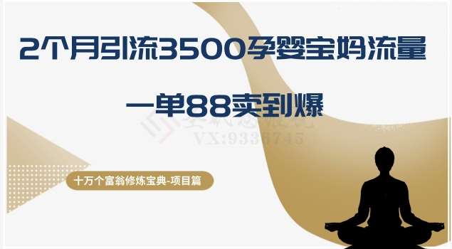 十万个富翁修炼宝典之13.2个月引流3500孕婴宝妈流量，一单88卖到爆汇创网-网创项目_汇创网_中创网_福缘网_冒泡网_网创项目平台汇创网