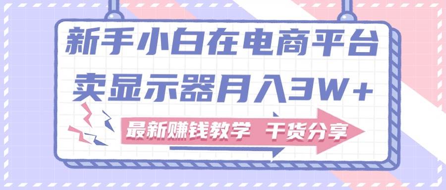 （11053期）新手小白如何做到在电商平台卖显示器月入3W+，最新赚钱教学干货分享汇创网-网创项目_汇创网_中创网_福缘网_冒泡网_资源整合平台汇创网