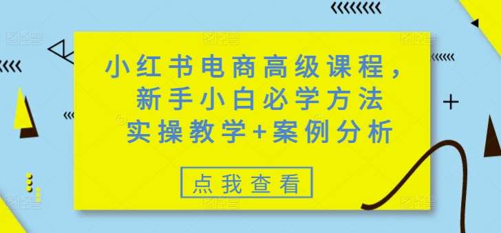 小红书电商高级课程，新手小白必学方法，实操教学+案例分析汇创网-网创项目_汇创网_中创网_福缘网_冒泡网_资源整合平台汇创网