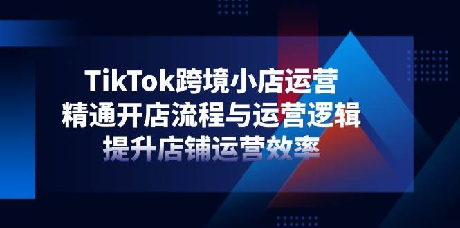 （14369期）TikTok跨境小店运营，精通开店流程与运营逻辑，提升店铺运营效率汇创网-网创项目_汇创网_中创网_福缘网_冒泡网_资源整合平台汇创网