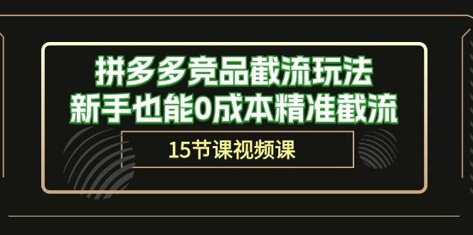 （10301期）拼多多竞品截流玩法，新手也能0成本精准截流（15节课）汇创网-网创项目_汇创网_中创网_福缘网_冒泡网_资源整合平台汇创网