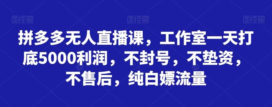 拼多多无人直播课，工作室一天打底5000利润，不封号，不垫资，不售后，纯白嫖流量汇创网-网创项目_汇创网_中创网_福缘网_冒泡网_网创项目平台汇创网