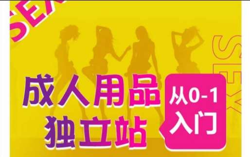 成人用品独立站从0-1入门，成品独立站运营全流程教学，七大好卖成品独立站推荐汇创网-网创项目_汇创网_中创网_福缘网_冒泡网_资源整合平台汇创网