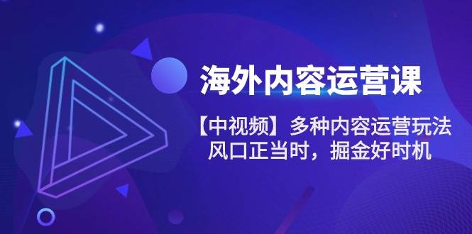 （10833期）海外内容 运营课【中视频】多种内容运营玩法 风口正当时 掘金好时机-101节汇创网-网创项目_汇创网_中创网_福缘网_冒泡网_资源整合平台汇创网