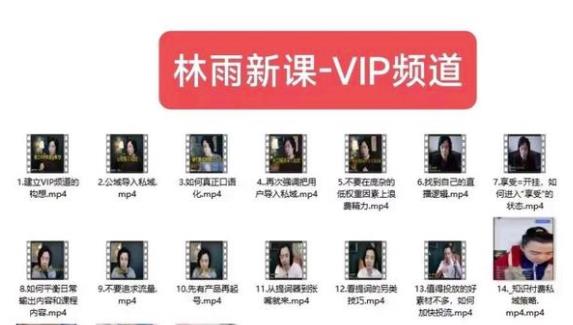 林雨新课VIP频道，玩赚私域/朋友圈/社群汇创网-网创项目_汇创网_中创网_福缘网_冒泡网_资源整合平台汇创网
