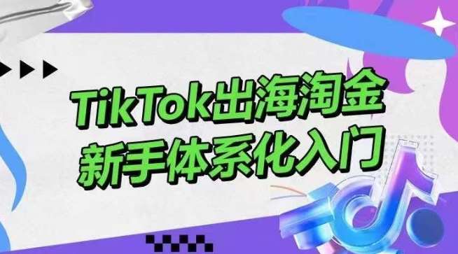 TikTok出海淘金，新手体系化入门，零基础快速入门，掌握短视频、直播带货等引流到变现的知识汇创网-网创项目_汇创网_中创网_福缘网_冒泡网_资源整合平台汇创网