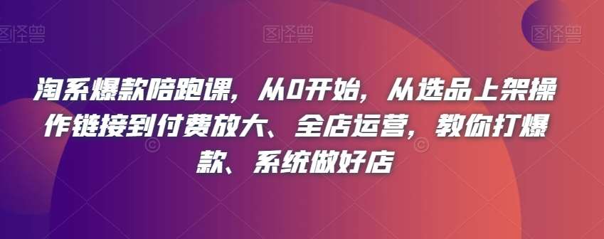 淘系爆款陪跑课，从0开始，从选品上架操作链接到付费放大、全店运营，教你打爆款、系统做好店汇创网-网创项目_汇创网_中创网_福缘网_冒泡网_网创项目平台汇创网