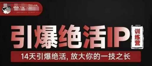 引爆绝活IP训练营，14天引爆绝活，放大你的一技之长汇创网-网创项目_汇创网_中创网_福缘网_冒泡网_资源整合平台汇创网