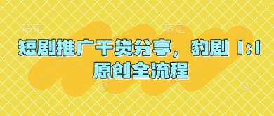 短剧推广干货分享，豹剧 1:1原创全流程汇创网-网创项目_汇创网_中创网_福缘网_冒泡网_资源整合平台汇创网