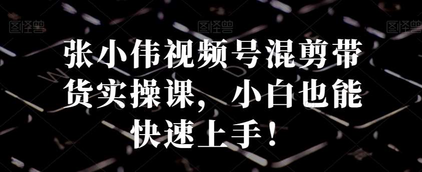 张小伟视频号混剪带货实操课，小白也能快速上手！汇创网-网创项目_汇创网_中创网_福缘网_冒泡网_资源整合平台汇创网