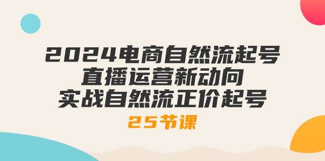 （10609期）2024电商自然流起号，直播运营新动向 实战自然流正价起号-25节课汇创网-网创项目_汇创网_中创网_福缘网_冒泡网_资源整合平台汇创网