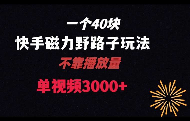 一个40块，快手联合美团磁力新玩法，无视机制野路子玩法，单视频收益4位数【揭秘】汇创网-网创项目_汇创网_中创网_福缘网_冒泡网_资源整合平台汇创网