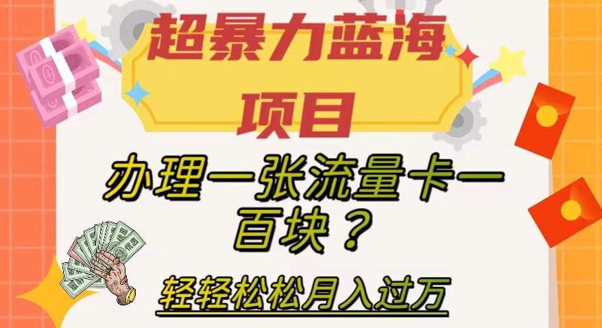 超暴力蓝海项目，办理一张流量卡一百块？轻轻松松月入过万，保姆级教程【揭秘】汇创网-网创项目_汇创网_中创网_福缘网_冒泡网_资源整合平台汇创网