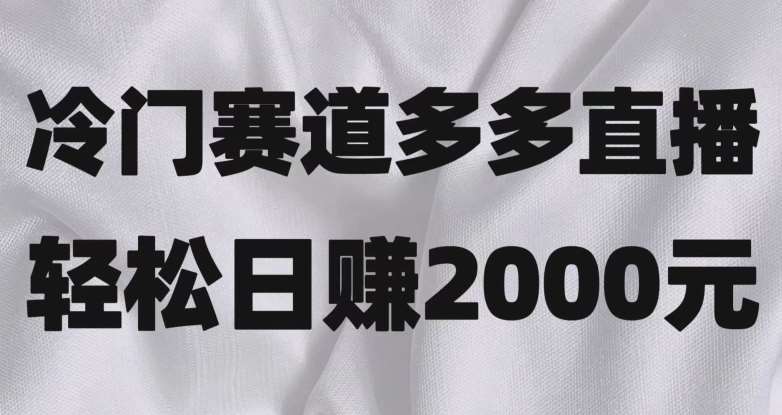 冷门赛道拼多多直播，简单念稿子，日收益2000＋【揭秘】汇创网-网创项目_汇创网_中创网_福缘网_冒泡网_资源整合平台汇创网