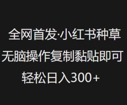 全网首发，小红书种草无脑操作，复制黏贴即可，轻松日入3张汇创网-网创项目_汇创网_中创网_福缘网_冒泡网_资源整合平台汇创网