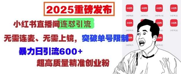 2025重磅发布：小红书直播间连怼引流，无需连麦、无需上镜，突破单号限制，暴力日引流600+汇创网-网创项目_汇创网_中创网_福缘网_冒泡网_网创项目平台汇创网