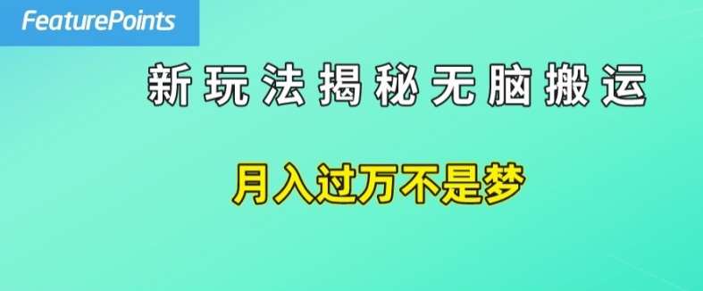 简单操作，每天50美元收入，搬运就是赚钱的秘诀【揭秘】汇创网-网创项目_汇创网_中创网_福缘网_冒泡网_网创项目平台汇创网