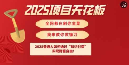 2025项目天花板普通人如何通过知识付费，实现财F自由【揭秘】汇创网-网创项目_汇创网_中创网_福缘网_冒泡网_资源整合平台汇创网