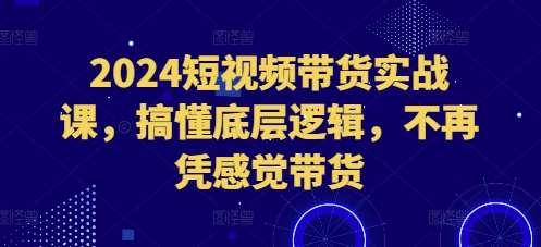 2024短视频带货实战课，搞懂底层逻辑，不再凭感觉带货汇创网-网创项目_汇创网_中创网_福缘网_冒泡网_资源整合平台汇创网