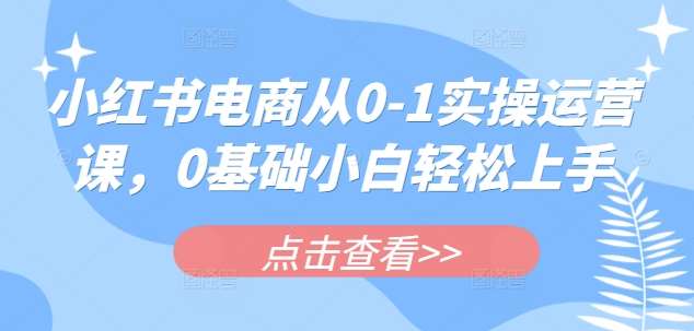 小红书电商从0-1实操运营课，0基础小白轻松上手汇创网-网创项目_汇创网_中创网_福缘网_冒泡网_资源整合平台汇创网