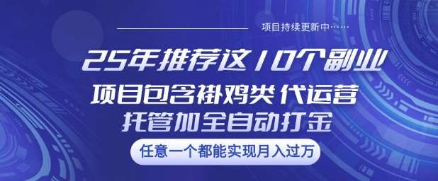 25年推荐这10个副业项目包含褂鸡类、代运营托管类、全自动打金类【揭秘】汇创网-网创项目_汇创网_中创网_福缘网_冒泡网_资源整合平台汇创网