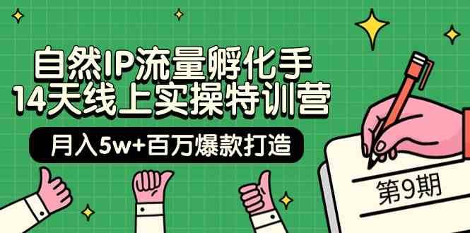 自然IP流量孵化手14天线上实操特训营【第9期】月入5w+百万爆款打造 (74节)汇创网-网创项目_汇创网_中创网_福缘网_冒泡网_资源整合平台汇创网