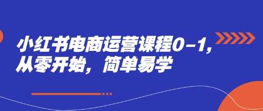 小红书电商运营课程0-1，从零开始，简单易学汇创网-网创项目_汇创网_中创网_福缘网_冒泡网_资源整合平台汇创网