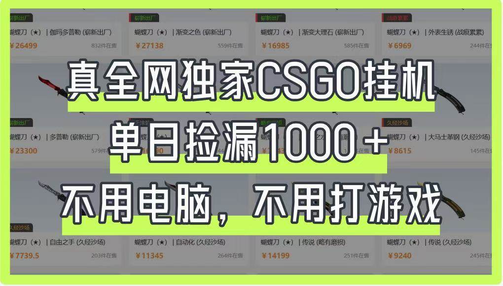 真全网独家CSGO挂机，单日捡漏1000+，不用电脑，不用养号汇创网-网创项目_汇创网_中创网_福缘网_冒泡网_资源整合平台汇创网