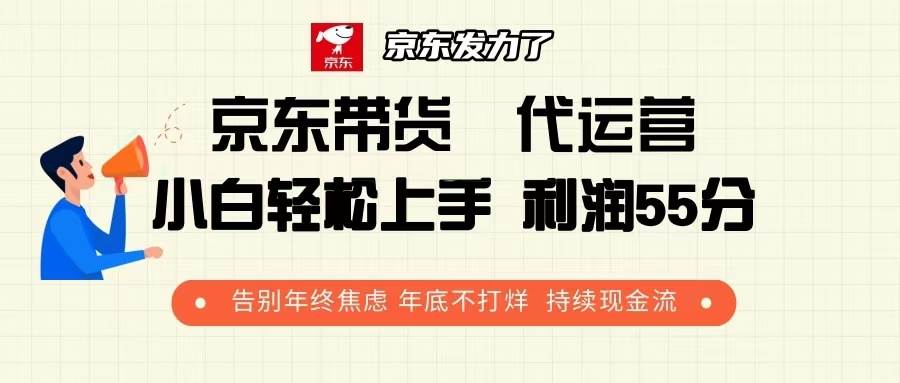 （13833期）京东带货 代运营 利润55分 告别年终焦虑 年底不打烊 持续现金流汇创网-网创项目_汇创网_中创网_福缘网_冒泡网_网创项目平台汇创网