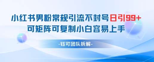 小红书男粉常规引流不封号日引99+变现简单 可矩阵可复制小白容易上手汇创网-网创项目_汇创网_中创网_福缘网_冒泡网_资源整合平台汇创网