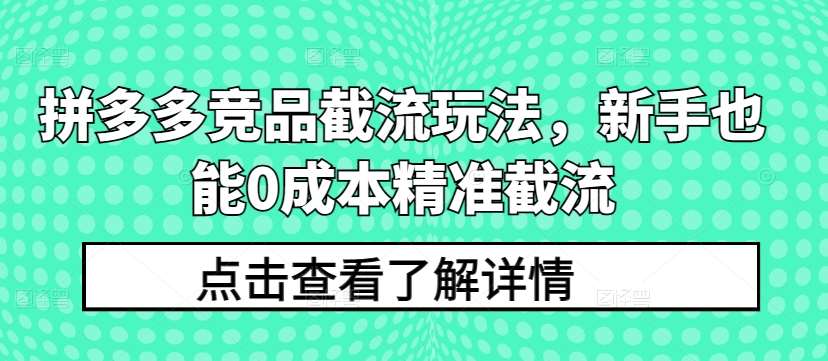 拼多多竞品截流玩法，新手也能0成本精准截流汇创网-网创项目_汇创网_中创网_福缘网_冒泡网_网创项目平台汇创网