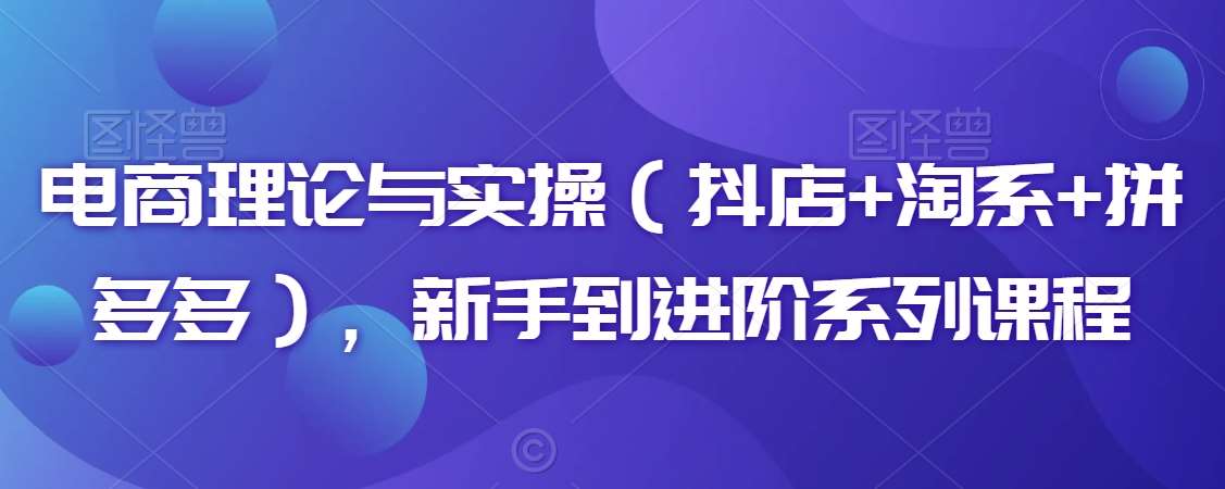 电商理论与实操（抖店+淘系+拼多多），新手到进阶系列课程汇创网-网创项目_汇创网_中创网_福缘网_冒泡网_资源整合平台汇创网