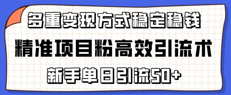 精准项目粉高效引流术，新手单日引流50+，多重变现方式稳定赚钱【揭秘】汇创网-网创项目_汇创网_中创网_福缘网_冒泡网_资源整合平台汇创网