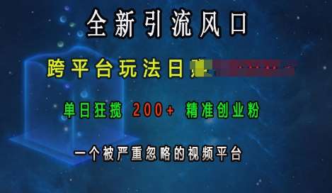 全新引流风口，跨平台玩法日入上k，单日狂揽200+精准创业粉，一个被严重忽略的视频平台汇创网-网创项目_汇创网_中创网_福缘网_冒泡网_资源整合平台汇创网