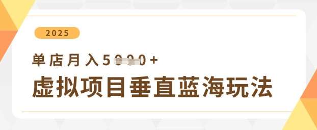 虚拟项目垂直玩法，实现单店月入5k+汇创网-网创项目_汇创网_中创网_福缘网_冒泡网_资源整合平台汇创网