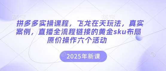 拼多多实操课程，飞龙在天玩法，真实案例，直播全流程链接的黄金sku布局原价操作六个活动汇创网-网创项目_汇创网_中创网_福缘网_冒泡网_资源整合平台汇创网